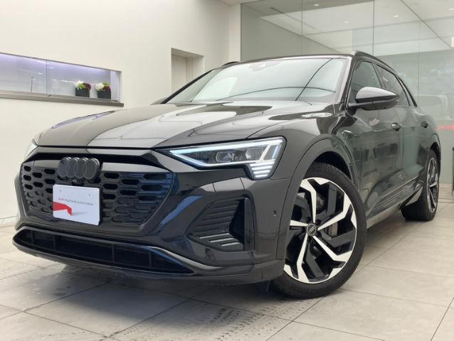 Audi Q8 e-tron